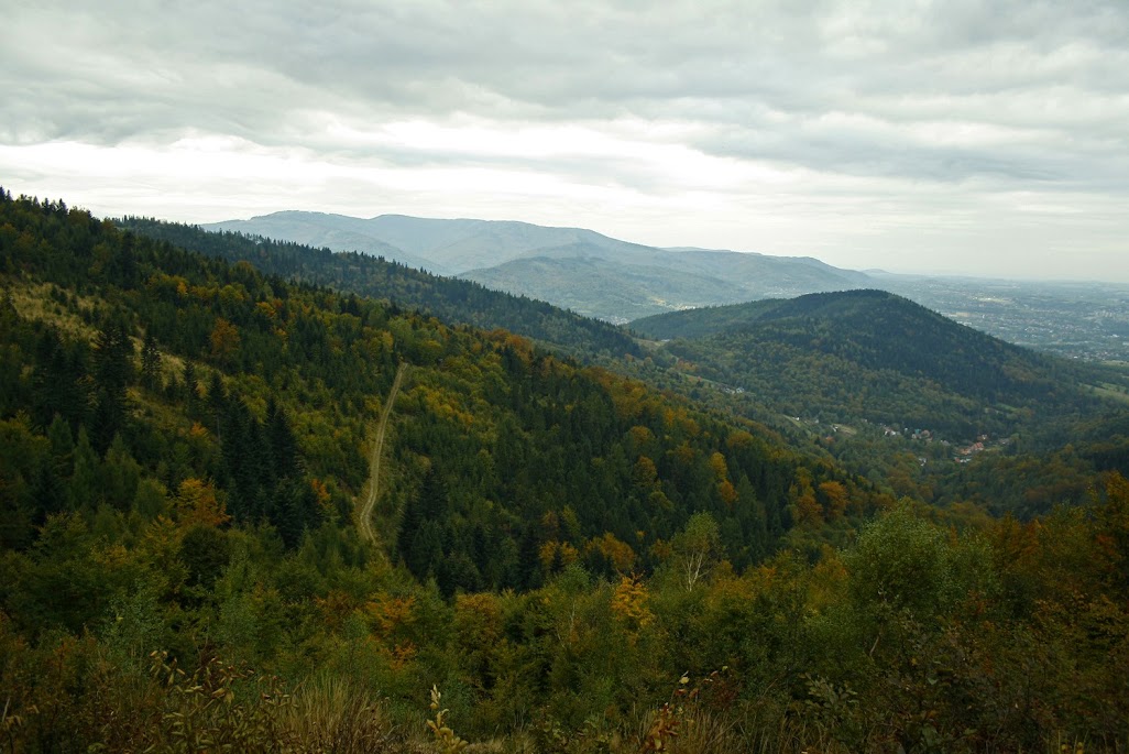 Szlak Przegibek - Magurka Wilkowicka