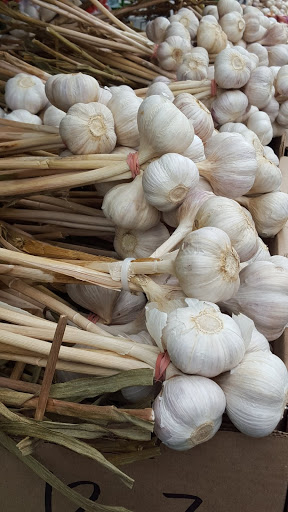 Made in Quebec: A Savory Stroll of the Marché Jean Talon