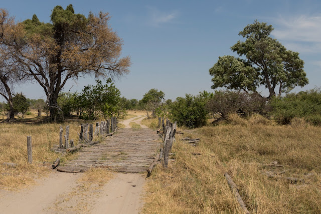 Botswana et Zimbabwe en octobre BotsZim_Oct2015_059