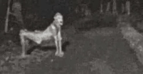 The New Mexico Skin Walker Hoax