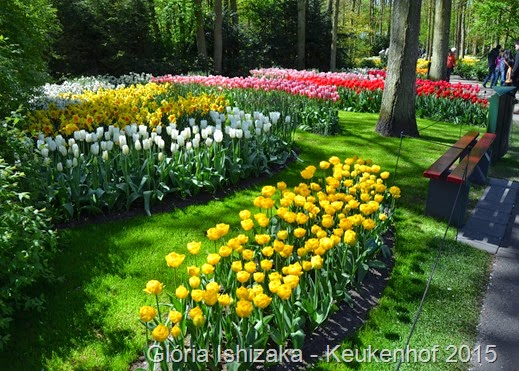 1 .Glória Ishizaka - Keukenhof 2015 - 18