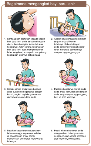 CARA MENDUKUNG BAYI BARU LAHIR 2