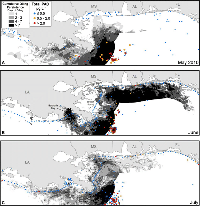 Cumulative oil persistence within 40 km of the shoreline (grey shading), and total PAC concentrations in the upper 50 m of the water column (colored circles) during a May, b June and c July 2010, after the BP Deepwater Horizon blowout and oil spill. The LDWF Zones 1 and 2 are northeast and southwest of the Mississippi River delta, respectively. Graphic: Short, et al., 2017 / Archives of Environmental Contamination and Toxicology