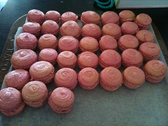 Rose and Cardamom Macarons (Photo by Frances Wright)