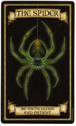 Le Bestiaire Spider