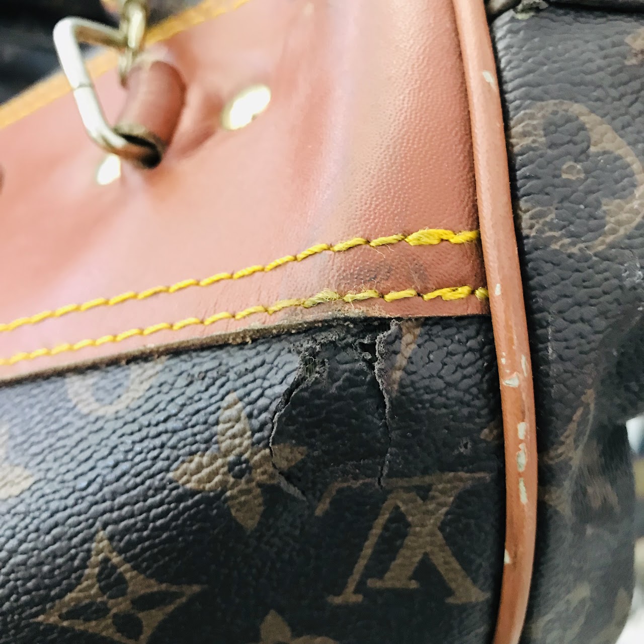 Louis Vuitton Monogram Garment Bag