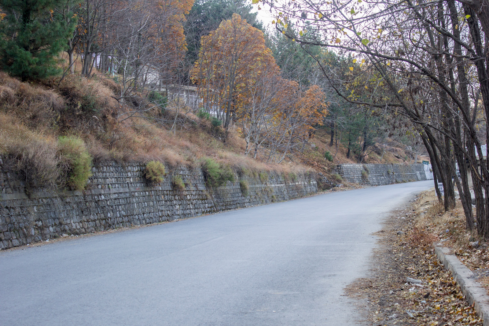 The beauty of the road which leads from Abbottabad to Nathia-Gali, Galiyat