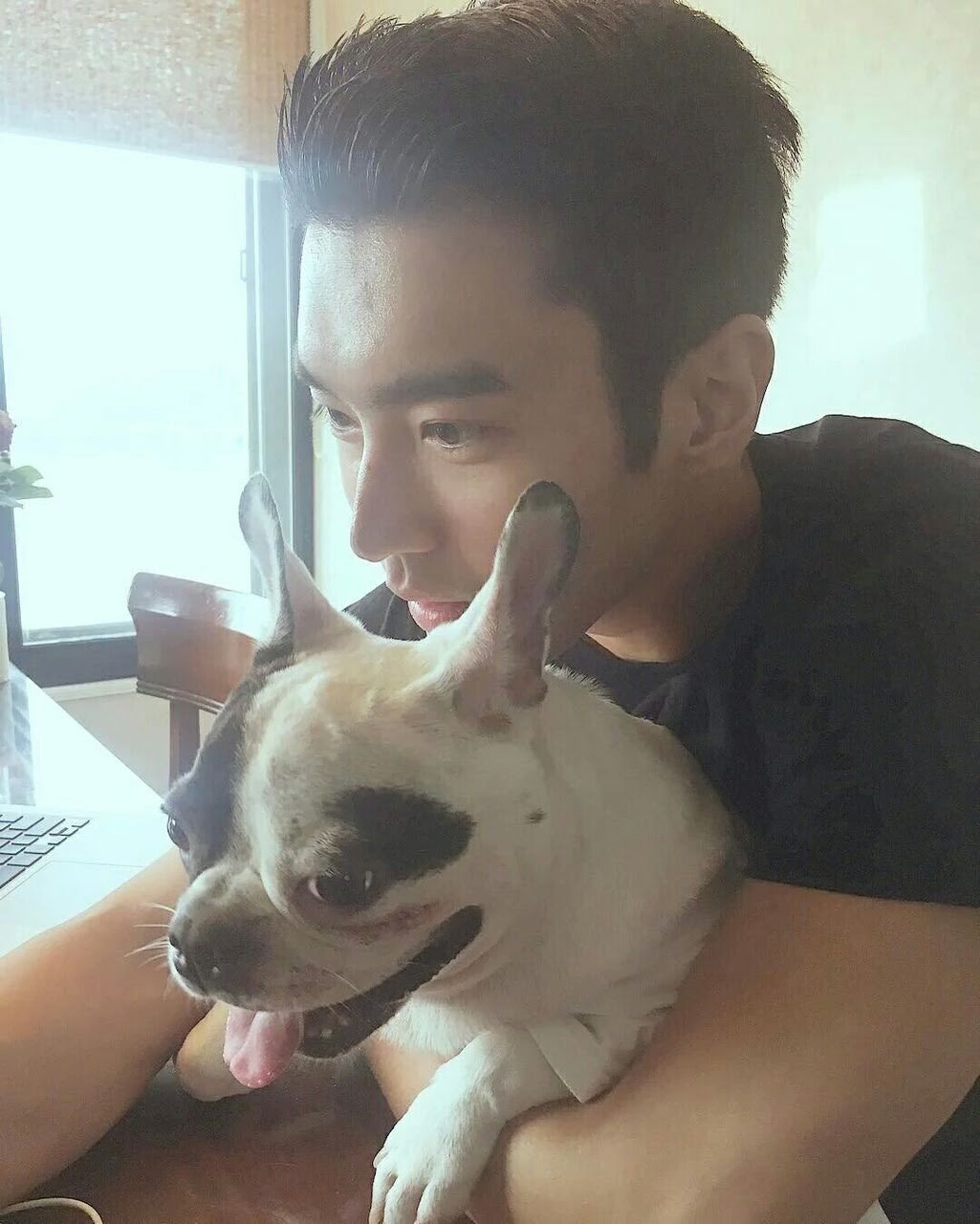 siwon dog