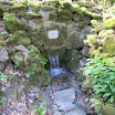 IMG_6732.JPG