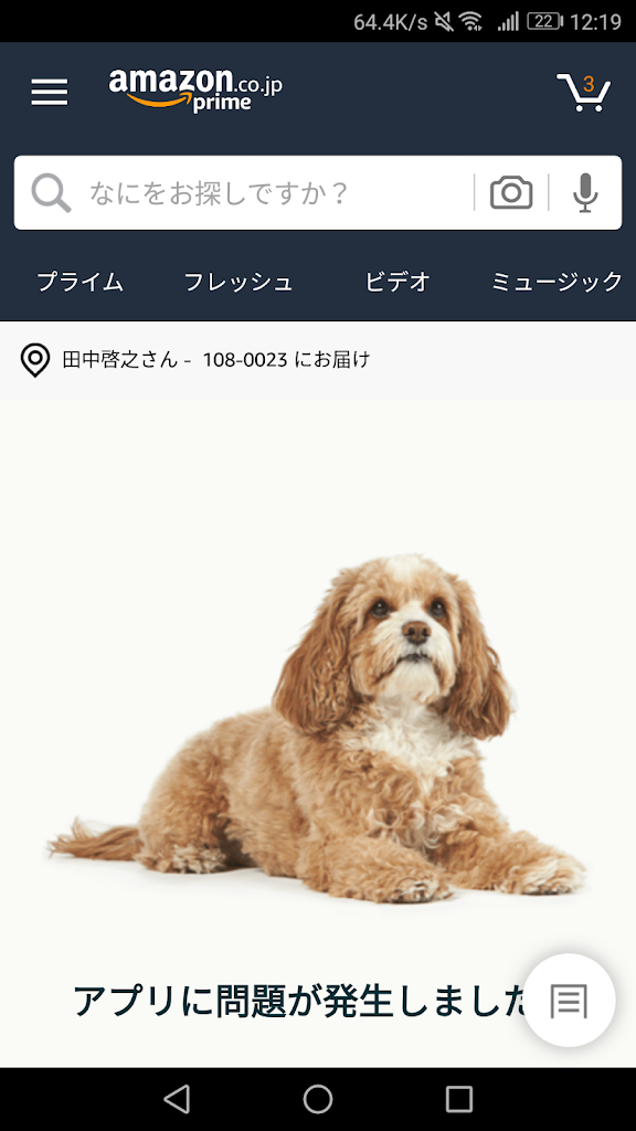 プライムデー Amazon落ちた 犬がでるほど大盛況 猫の手は余ってた 50kgダイエットした港区芝浦it社長ブログ