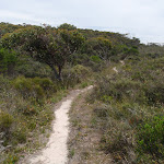 Light to Light track near Bittangabee Bay (107977)