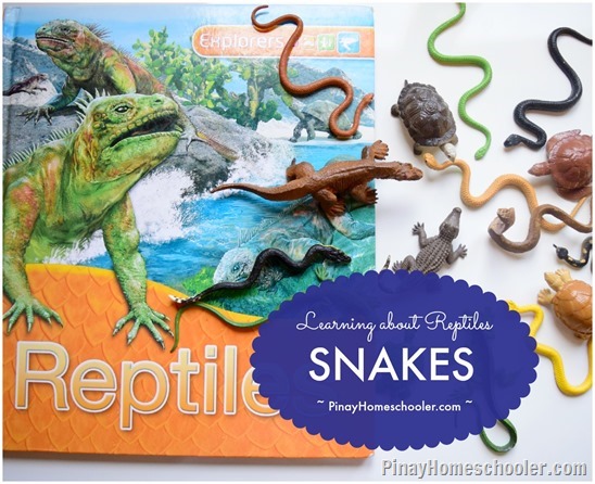 Learning about Reptiles: Snakes