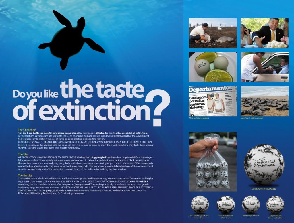 파일:external/files.coloribus.com/sea-turtles-protection-program-sea-turtle-eggs-campaign-1024-81567.jpg