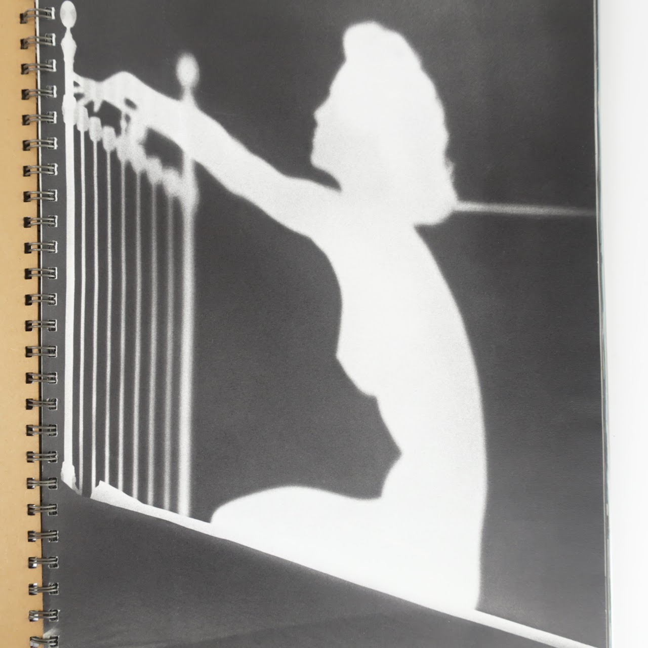 Madonna "SEX" Steel Cover Edition Book