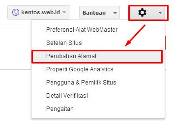 Hal Penting Saat Mengganti Domain Lama ke Domain Baru WordPress