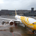 taking flyscoot to Tokyo, Japan in Taoyuan, Taiwan 