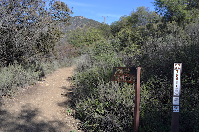 Horn Canyon sign