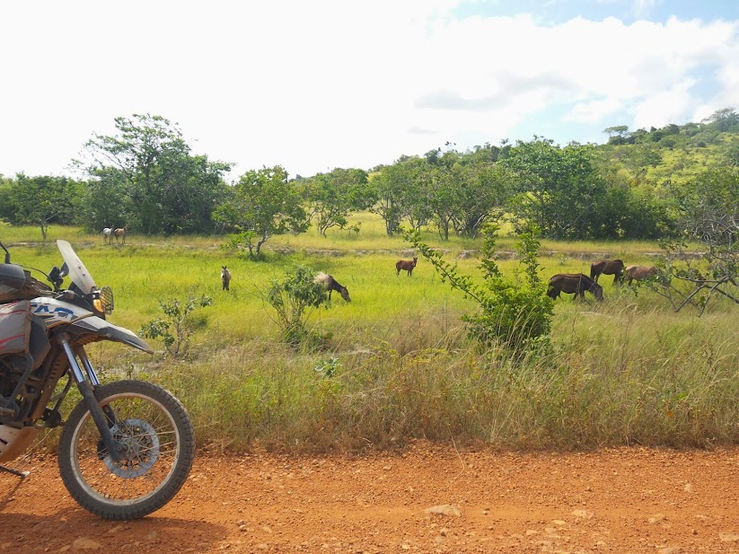 Brasil - Rota das Fronteiras  / Uma Saga pela Amazônia - Página 3 20140910_100607