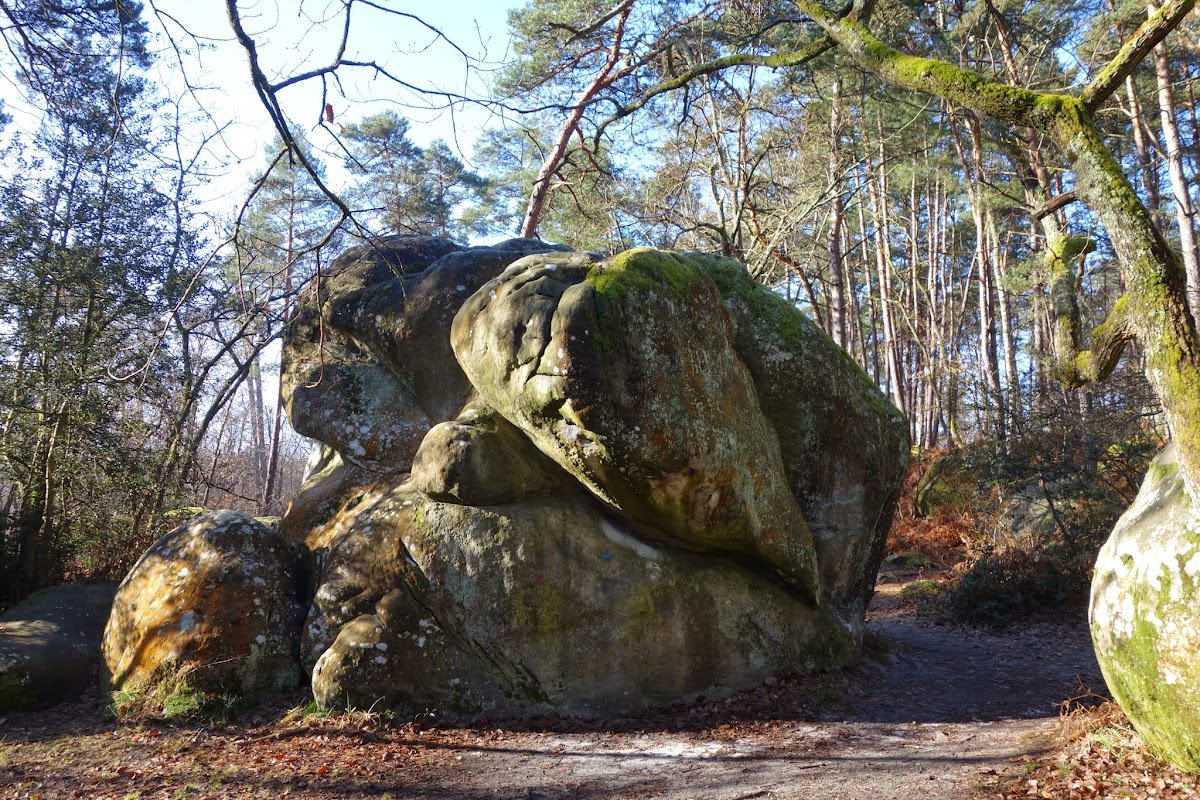 DSC01125.JPG