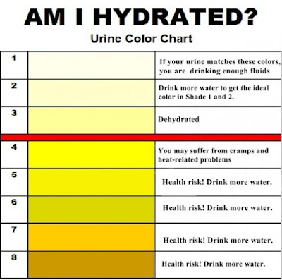 Am I Hydrated Urine Color Chart