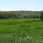 Vallée de la Rémarde