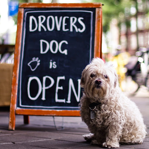 Drovers Dog Heemstedestraat logo