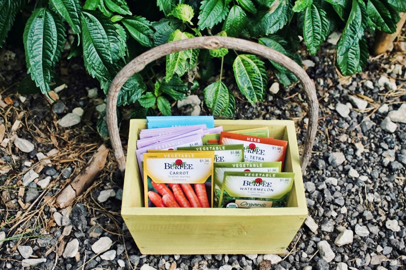 Basket of seeds