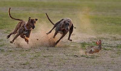 نقره لتكبير أو تصغير الصورة ونقرتين لعرض الصورة في صفحة مستقلة بحجمها الطبيعي