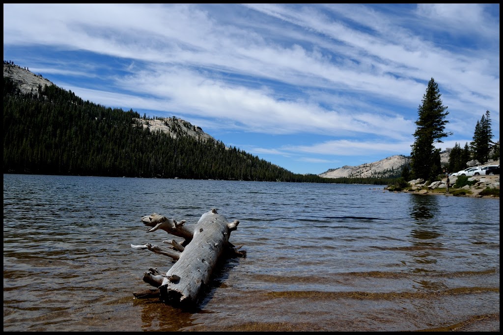 INTENSA RUTA POR LA COSTA OESTE USA 2015 - Blogs de USA - MAMMOTH LAKES-TIOGA ROAD-YOSEMITE (11)