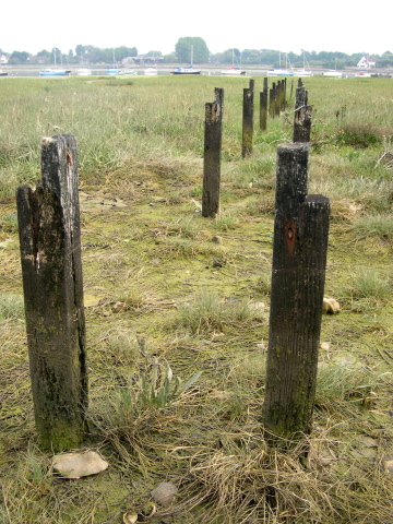 walk 37 low tide bosham creek 