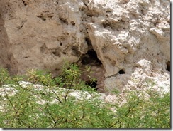 Montezuma Castle National Monument