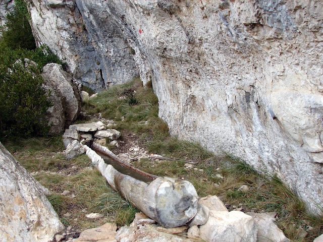 Font de la Mallada dels Cinc Sentits