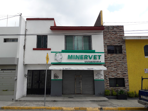 Minervet, Calle Fray Pedro de Gante 41, Cd Guzmán Centro, 49000 Cd Guzman, Jal., México, Veterinario | JAL