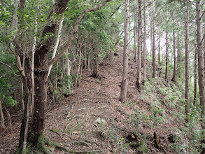 ここから大河内山への登りに