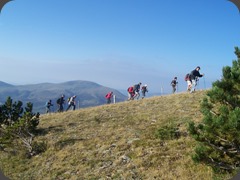 Puig Cerverís (9)