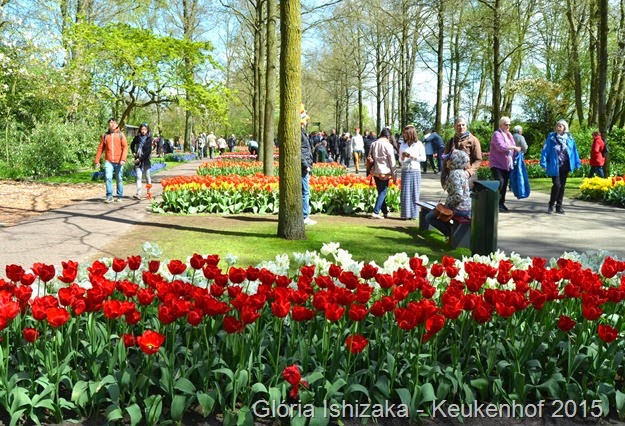 1 .Glória Ishizaka - Keukenhof 2015 - 9