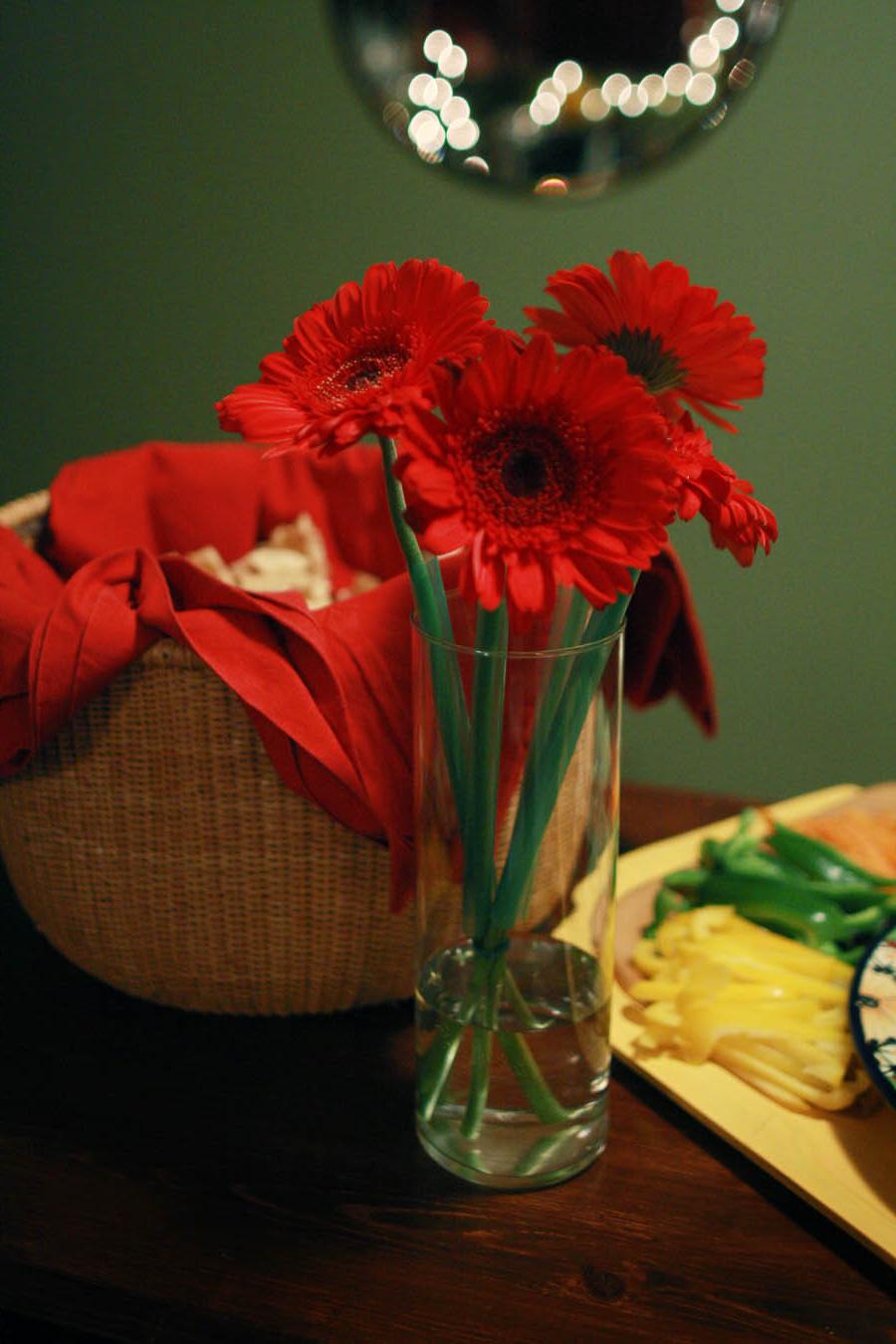 beautiful Gerbera Daisies