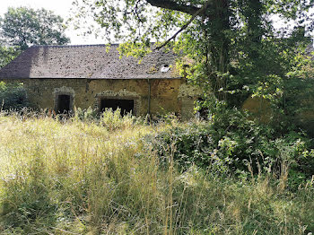 maison à Treigny (89)