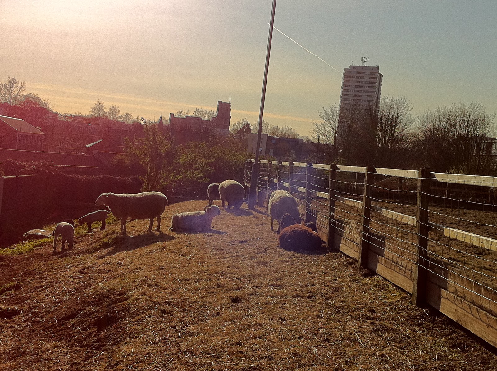London College of Fashion Meets Kentish Town Kentish Town City Farm