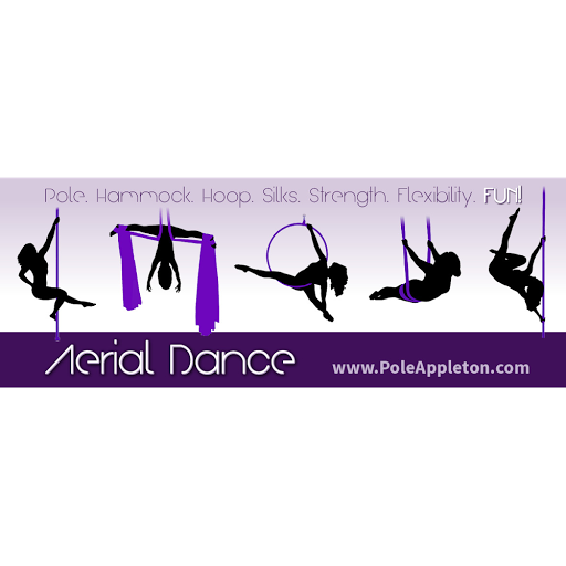 Aerial Dance Pole Exercise LLC logo