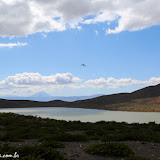 Rumo à Villa Pehuenia, Argentina