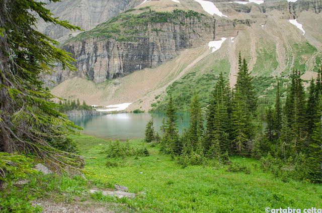 Nos vamos al Norte, a través Idaho y Montana, llegamos a GLACIER NATIONAL PARK - OESTE DE EEUU 2015. UN MES POR LOS PARQUES NATURALES DE 6 ESTADOS (TERMINADO!!) (22)