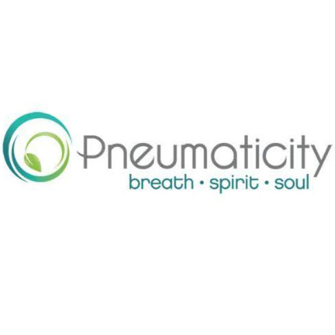 Pneumaticity Salon Spa Boutique logo