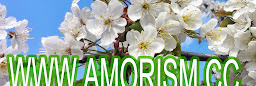 Profile cover photo