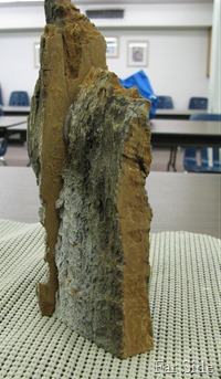 June 4 2012 Hunk of wood