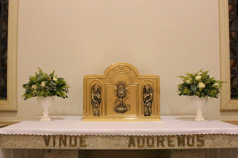 Ordenacao Pe. Joao Batista Correa (114)