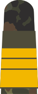 파일:external/upload.wikimedia.org/80px-MA_OG5_63_Vizeadmiral.svg.png