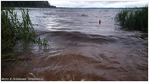 Озеро Пено. Озеро Пено