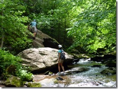 D&T taking a break in the stream