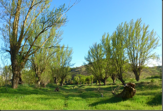 05.1. Paseos en primavera